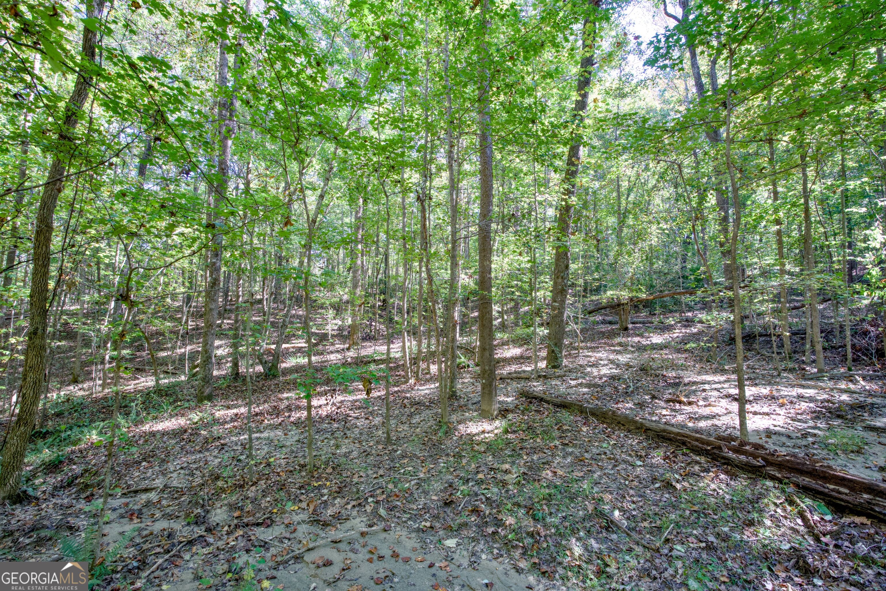 16 Ac Soapstone Road Baldwin GA 30511