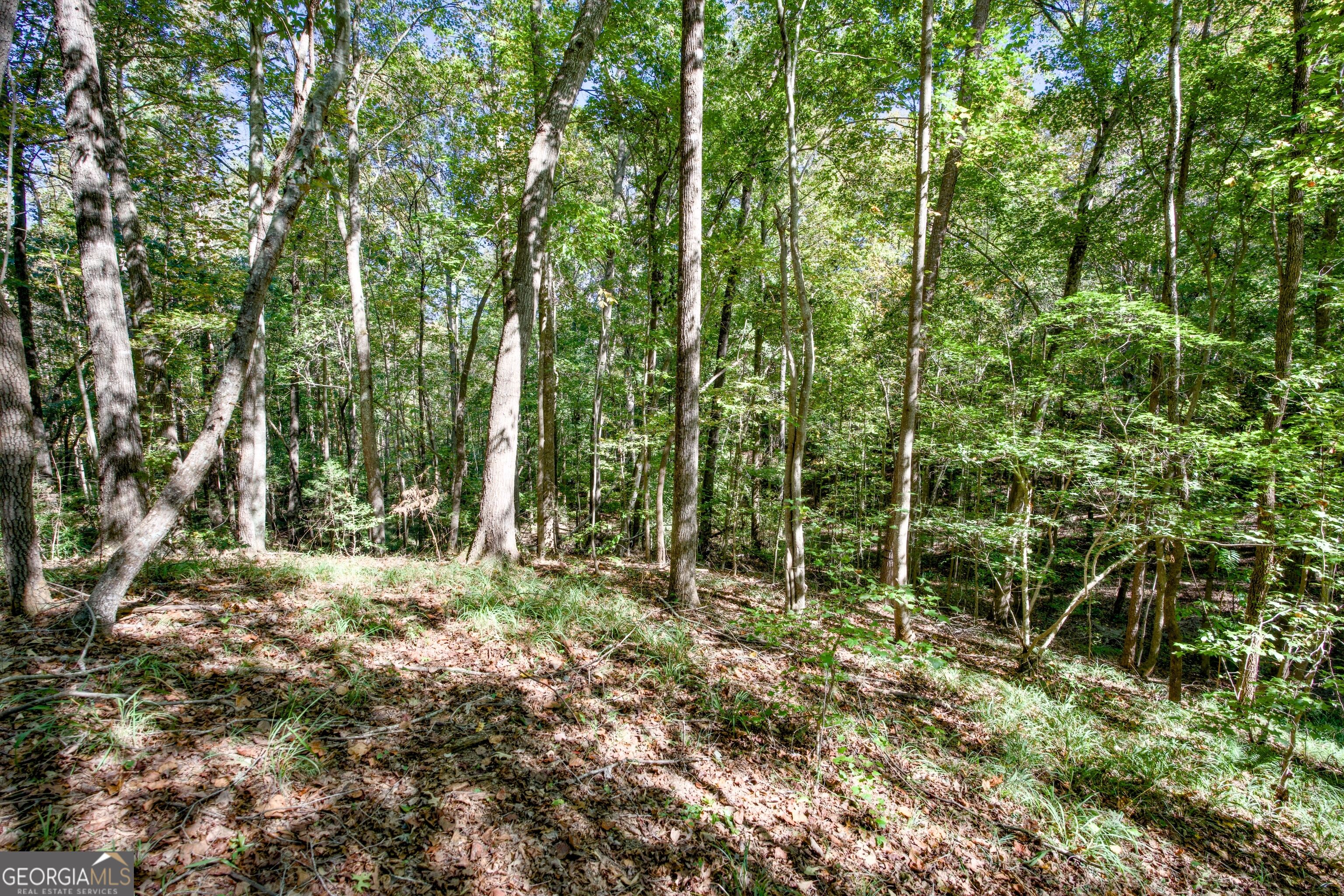 16 Ac Soapstone Road Baldwin GA 30511