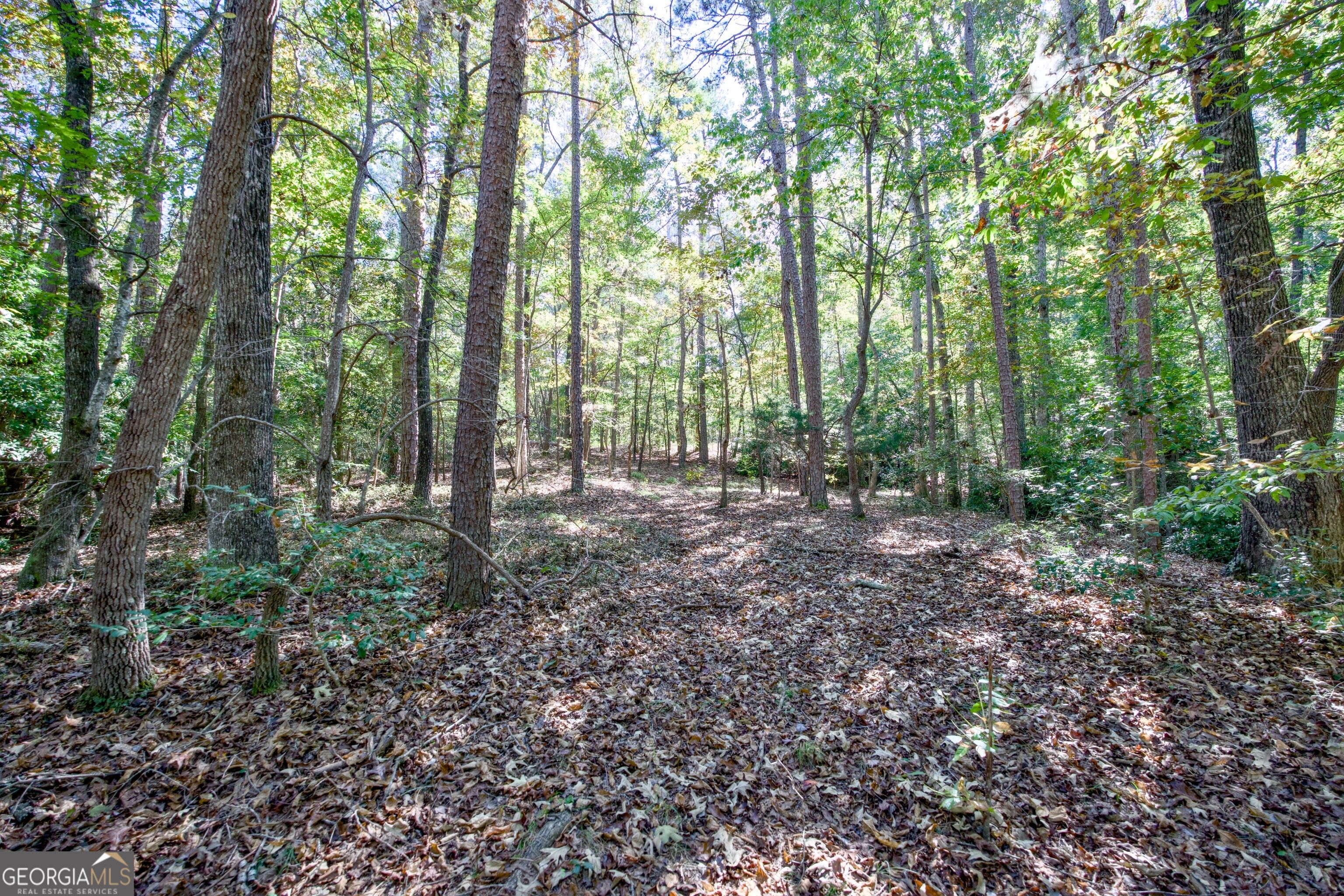 16 Ac Soapstone Road Baldwin GA 30511