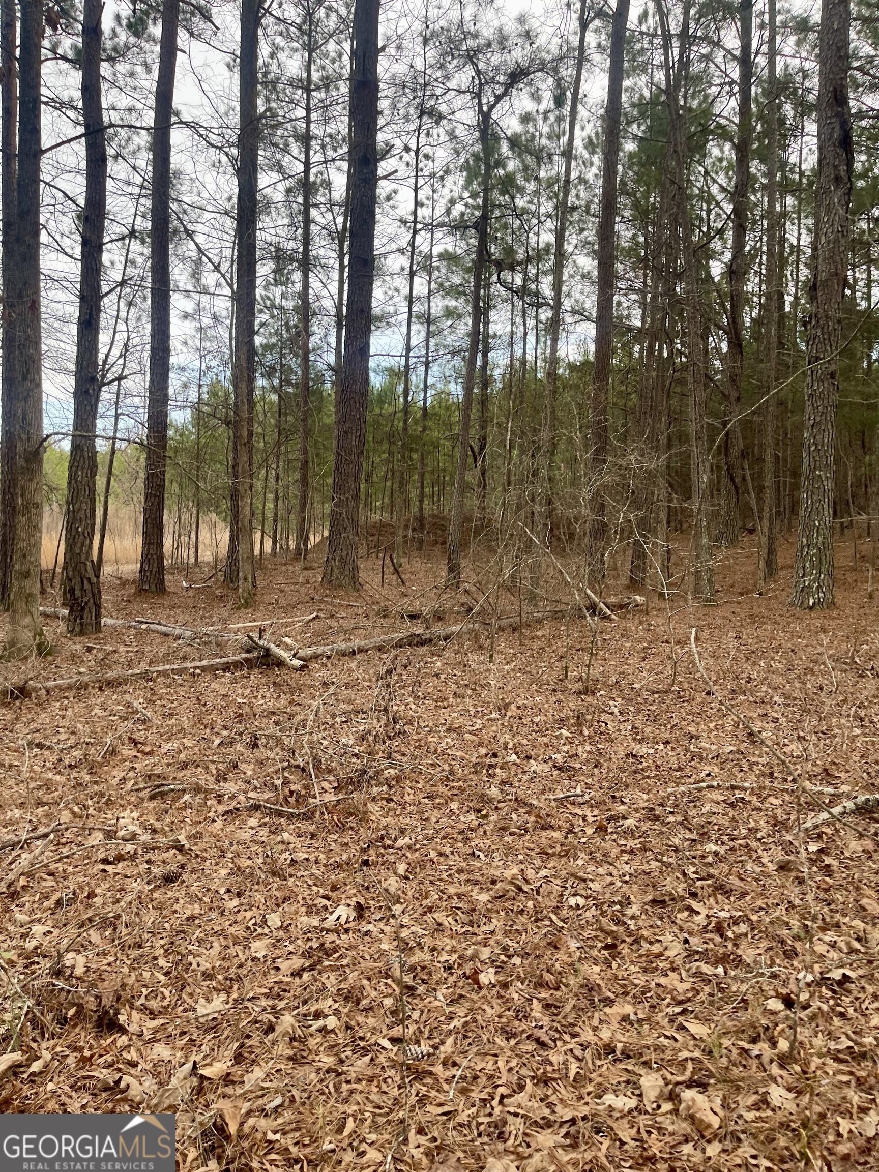 0 Padgett Road Senoia GA 30276
