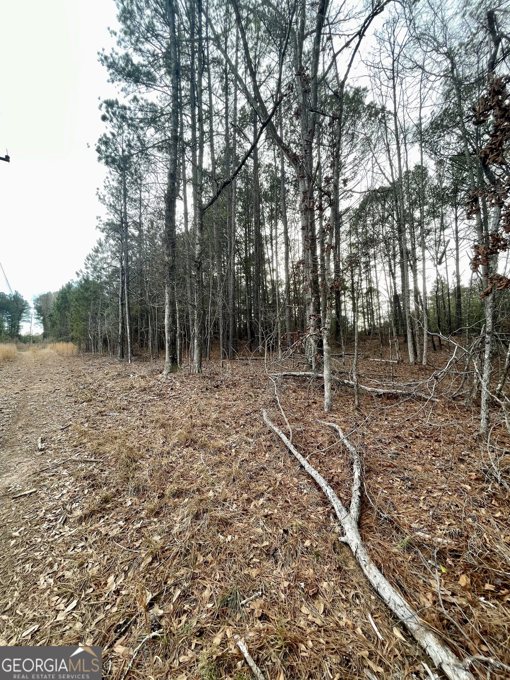 0 Padgett Road Senoia GA 30276