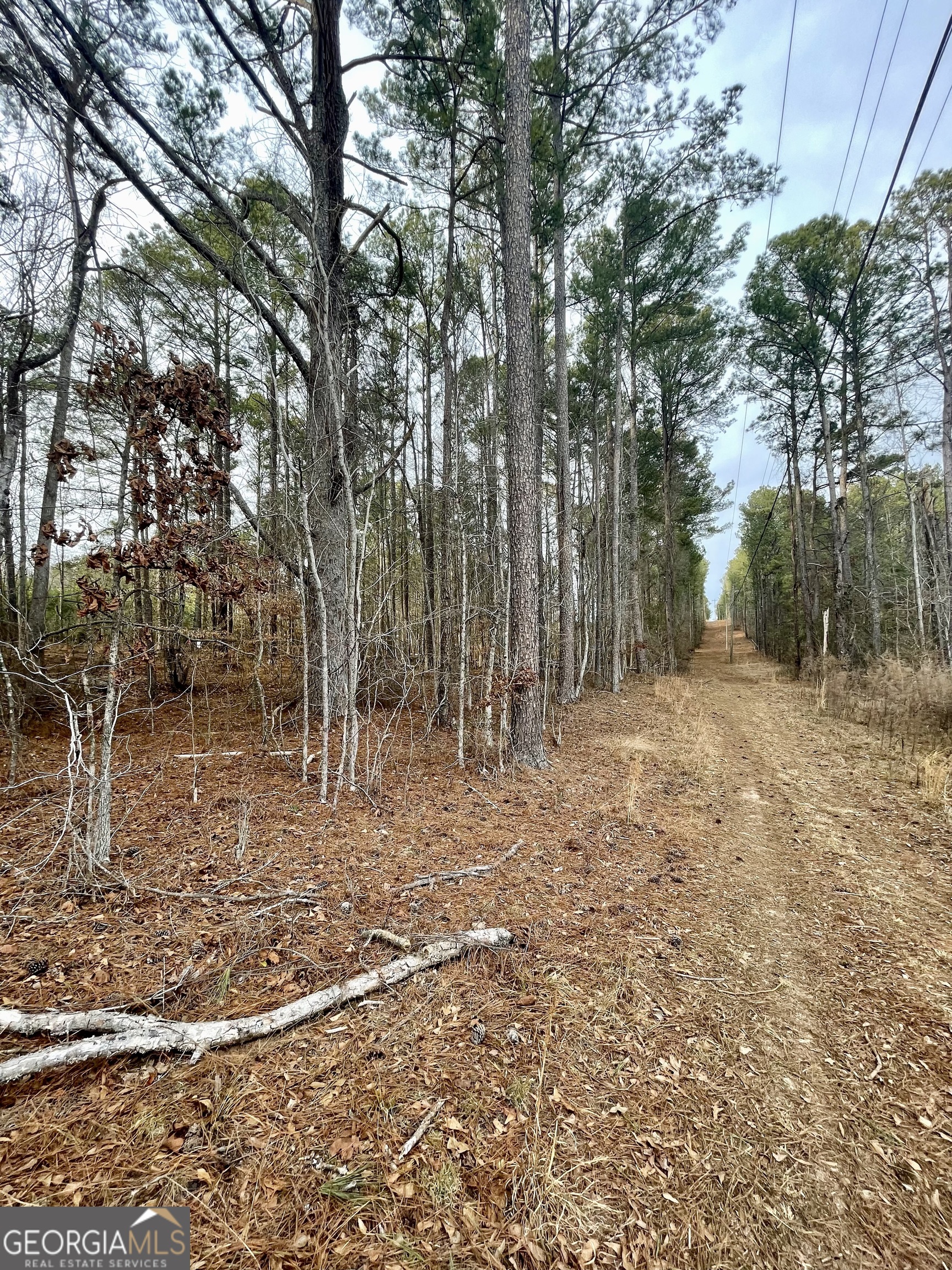 0 Padgett Road Senoia GA 30276