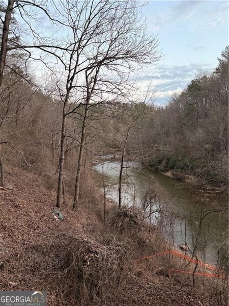 0 Shady Grove Church Road Talking Rock GA 30175