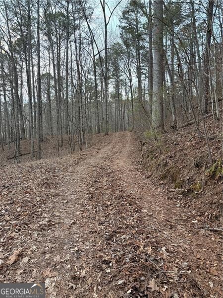 0 Shady Grove Church Road Talking Rock GA 30175