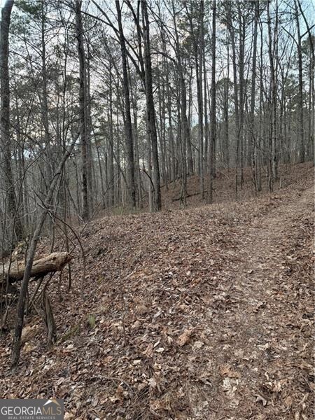 0 Shady Grove Church Road Talking Rock GA 30175