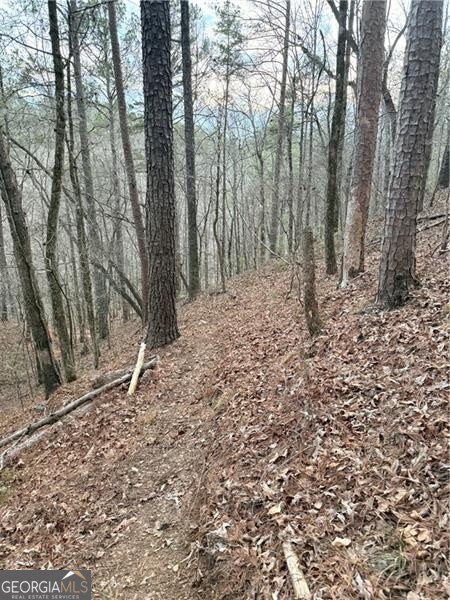 0 Shady Grove Church Road Talking Rock GA 30175