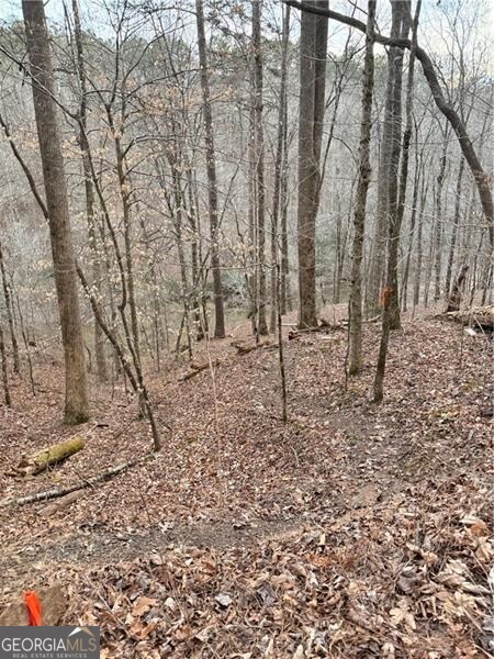 0 Shady Grove Church Road Talking Rock GA 30175