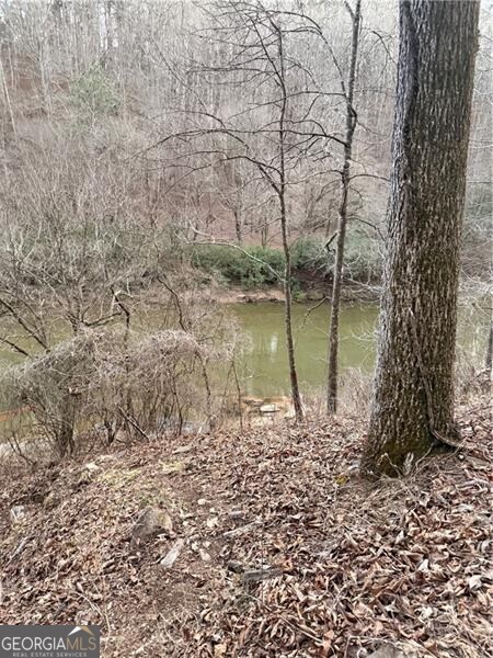 0 Shady Grove Church Road Talking Rock GA 30175