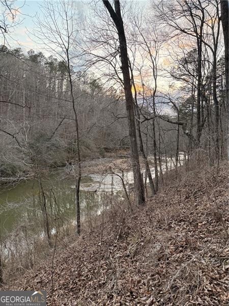 0 Shady Grove Church Road Talking Rock GA 30175