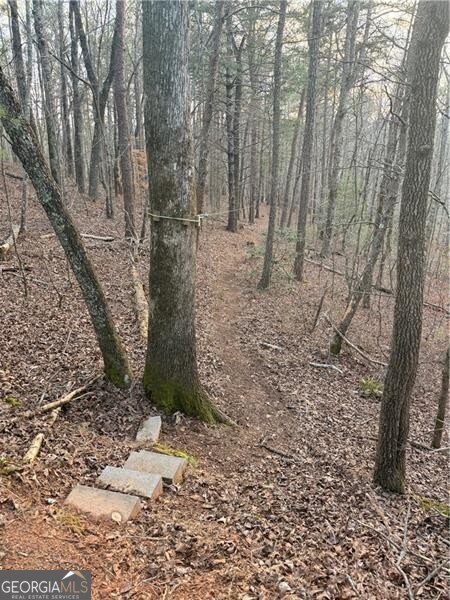 0 Shady Grove Church Road Talking Rock GA 30175