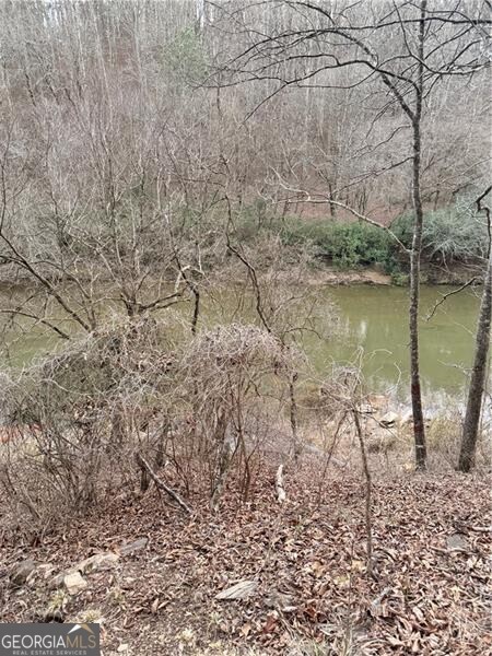 0 Shady Grove Church Road Talking Rock GA 30175