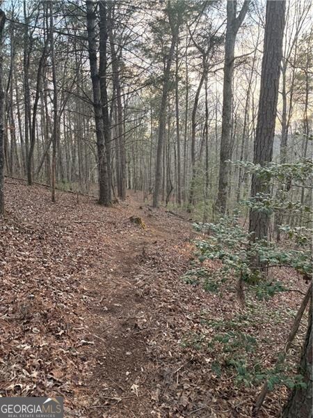 0 Shady Grove Church Road Talking Rock GA 30175
