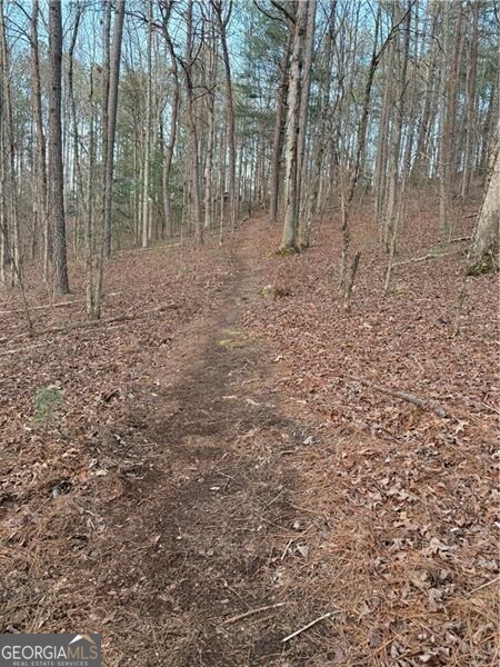 0 Shady Grove Church Road Talking Rock GA 30175