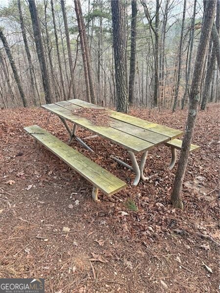 0 Shady Grove Church Road Talking Rock GA 30175