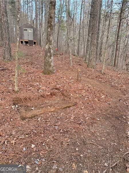 0 Shady Grove Church Road Talking Rock GA 30175