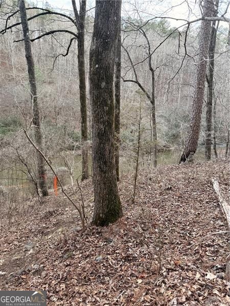 0 Shady Grove Church Road Talking Rock GA 30175