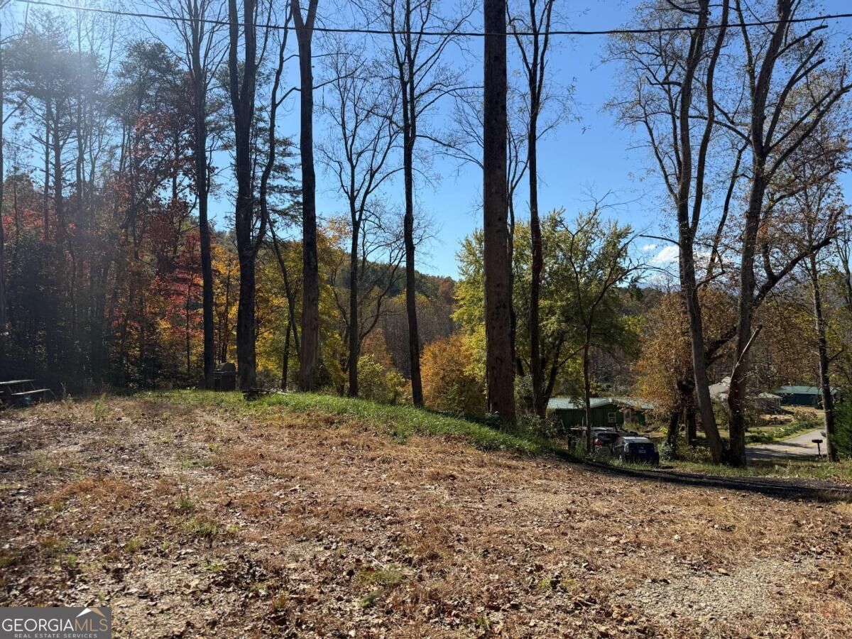 2180 Bugscuffle Spur Hiawassee GA 30546