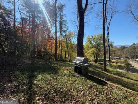 2180 Bugscuffle Spur Hiawassee GA 30546