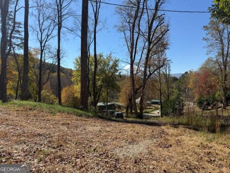 2180 Bugscuffle Spur Hiawassee GA 30546