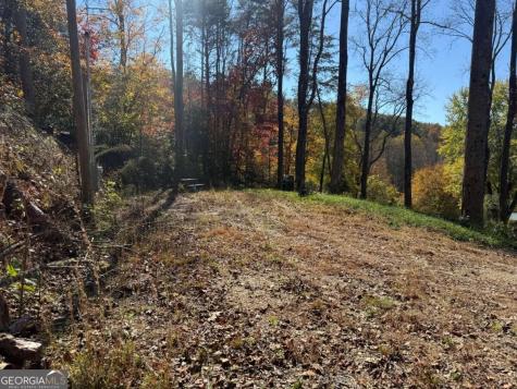 2180 Bugscuffle Spur Hiawassee GA 30546