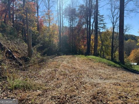 2180 Bugscuffle Spur Hiawassee GA 30546