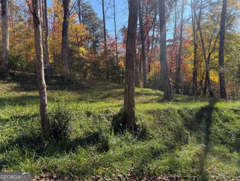 2180 Bugscuffle Spur Hiawassee GA 30546