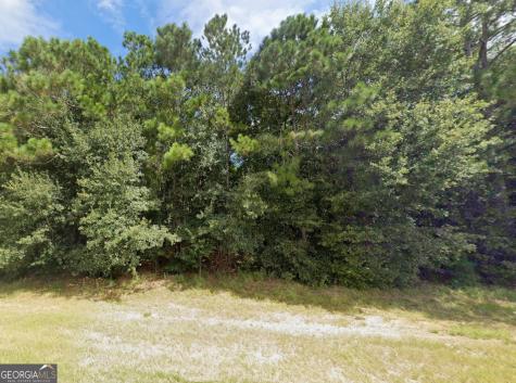 0 W Us Highway 82 Ty Ty GA 31795