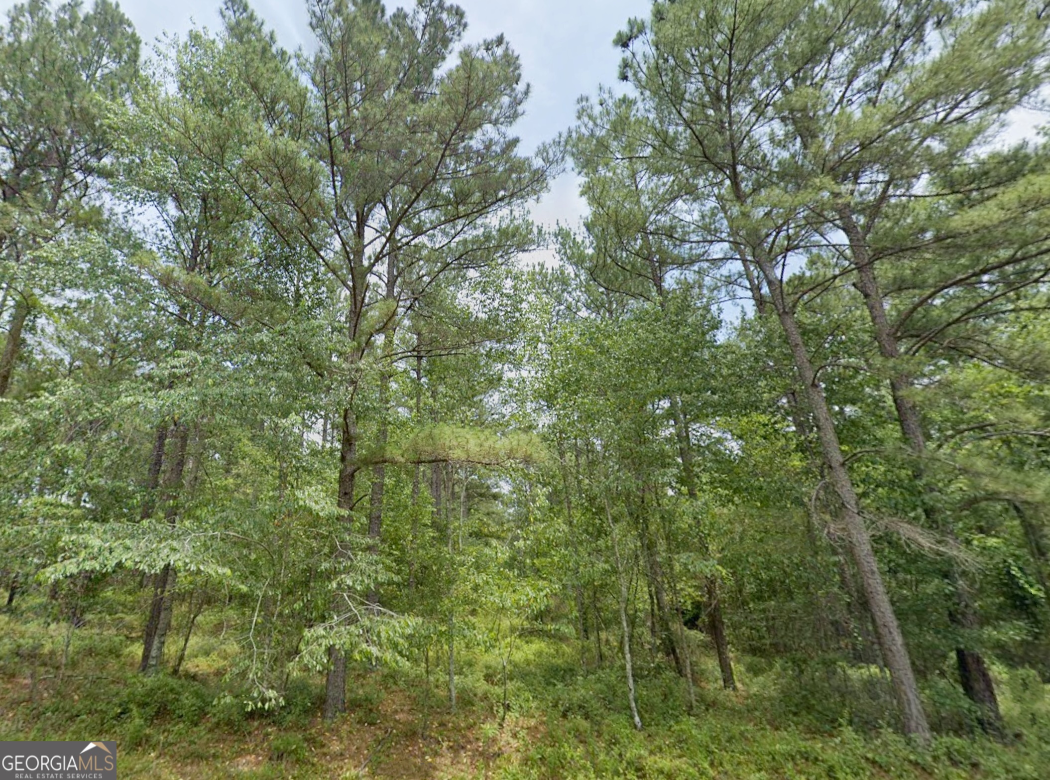 0 W Us Highway 82 Ty Ty GA 31795