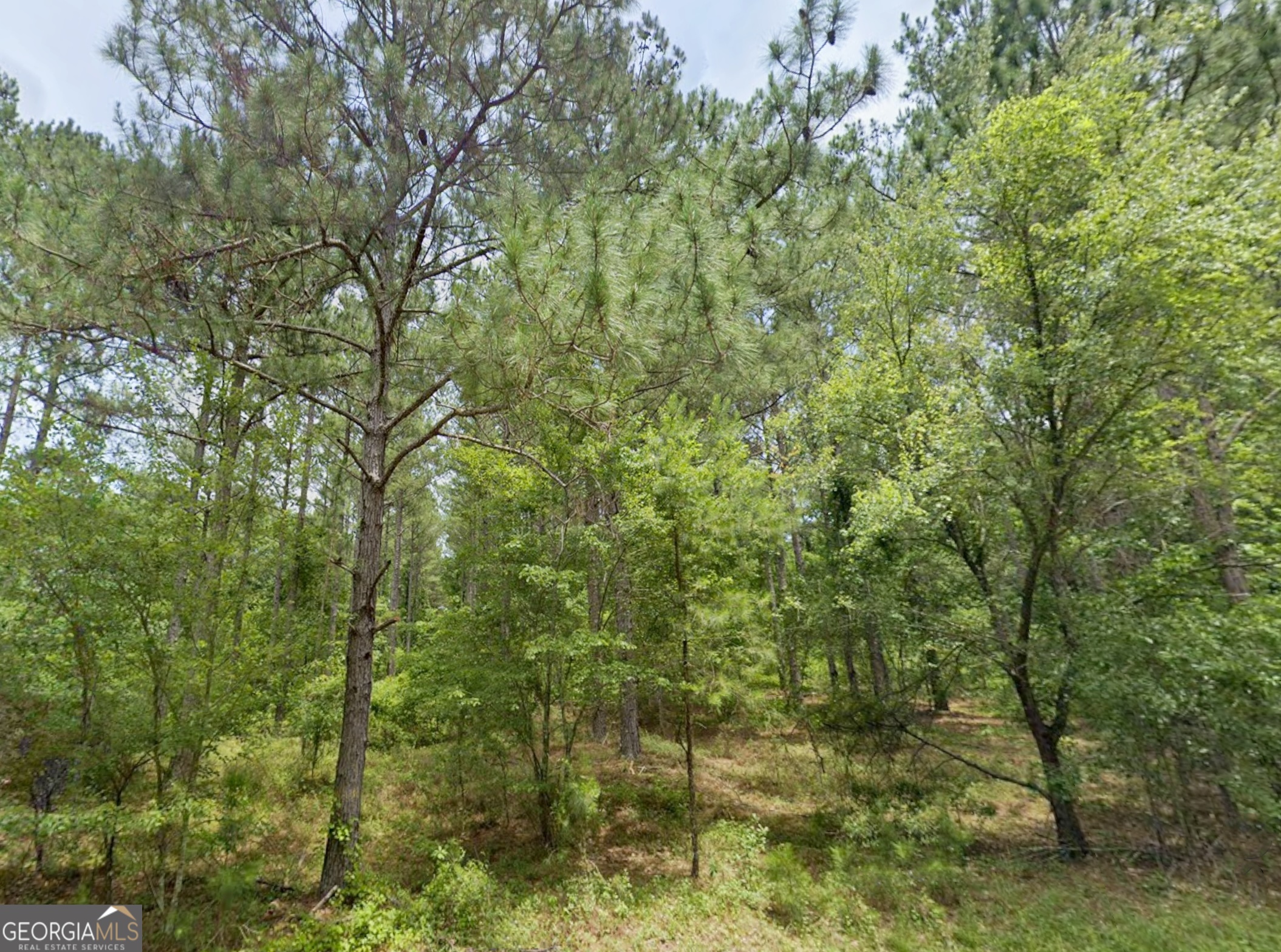 0 W Us Highway 82 Ty Ty GA 31795
