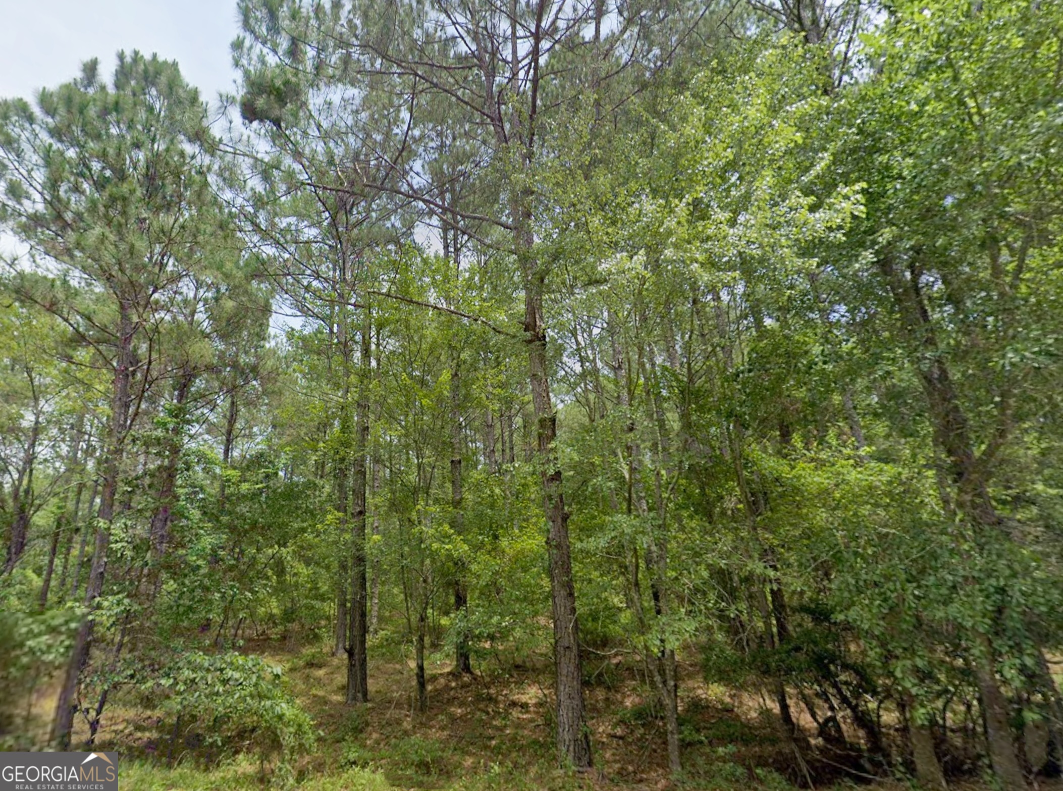 0 W Us Highway 82 Ty Ty GA 31795