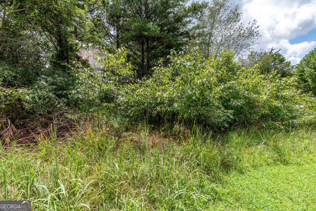 Lot T-5 Talona Mountain Road Ellijay GA 30540