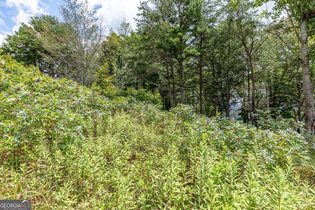 Lot T-5 Talona Mountain Road Ellijay GA 30540