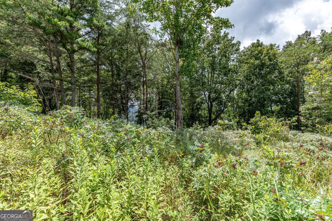 Lot T-5 Talona Mountain Road Ellijay GA 30540