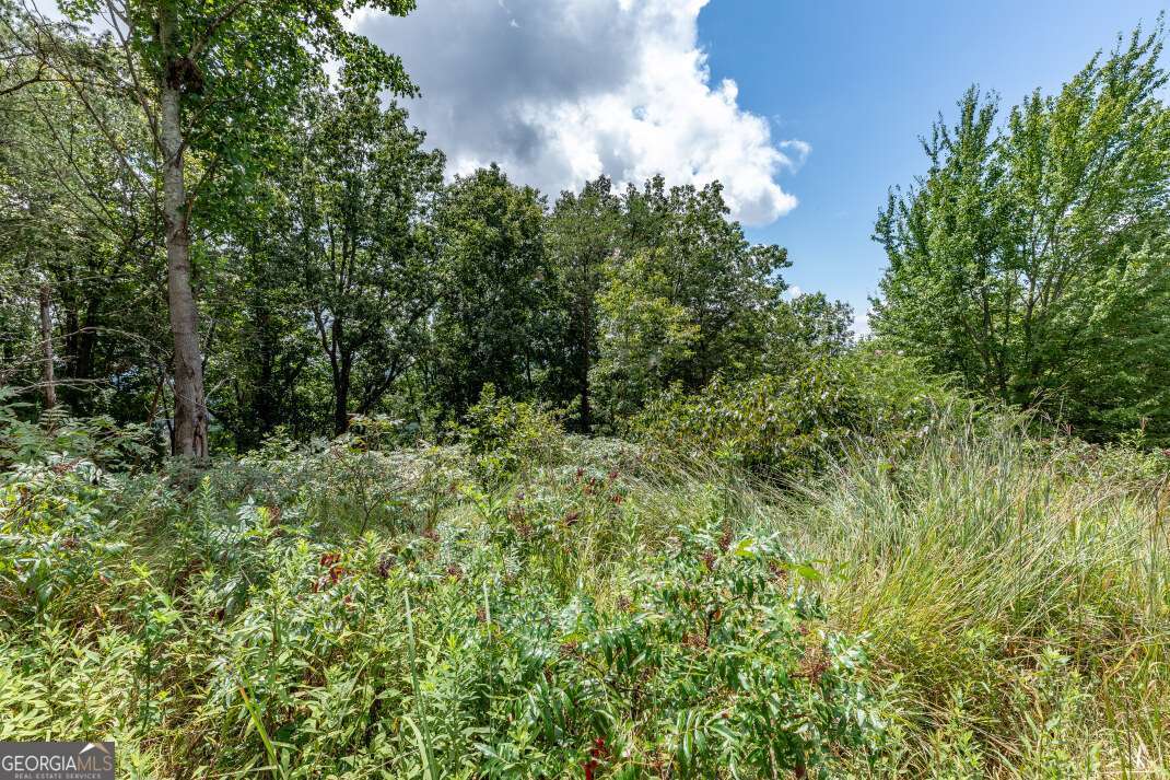 Lot T-5 Talona Mountain Road Ellijay GA 30540
