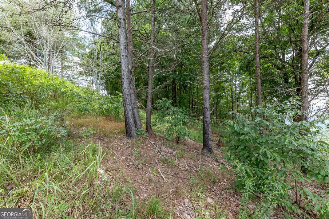 Lot T-5 Talona Mountain Road Ellijay GA 30540