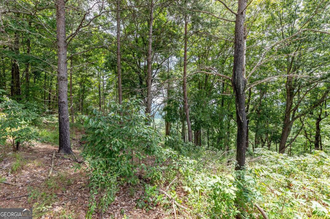 Lot T-5 Talona Mountain Road Ellijay GA 30540
