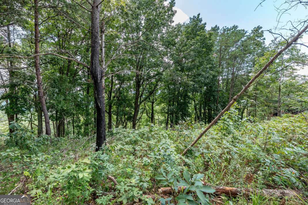 Lot T-5 Talona Mountain Road Ellijay GA 30540