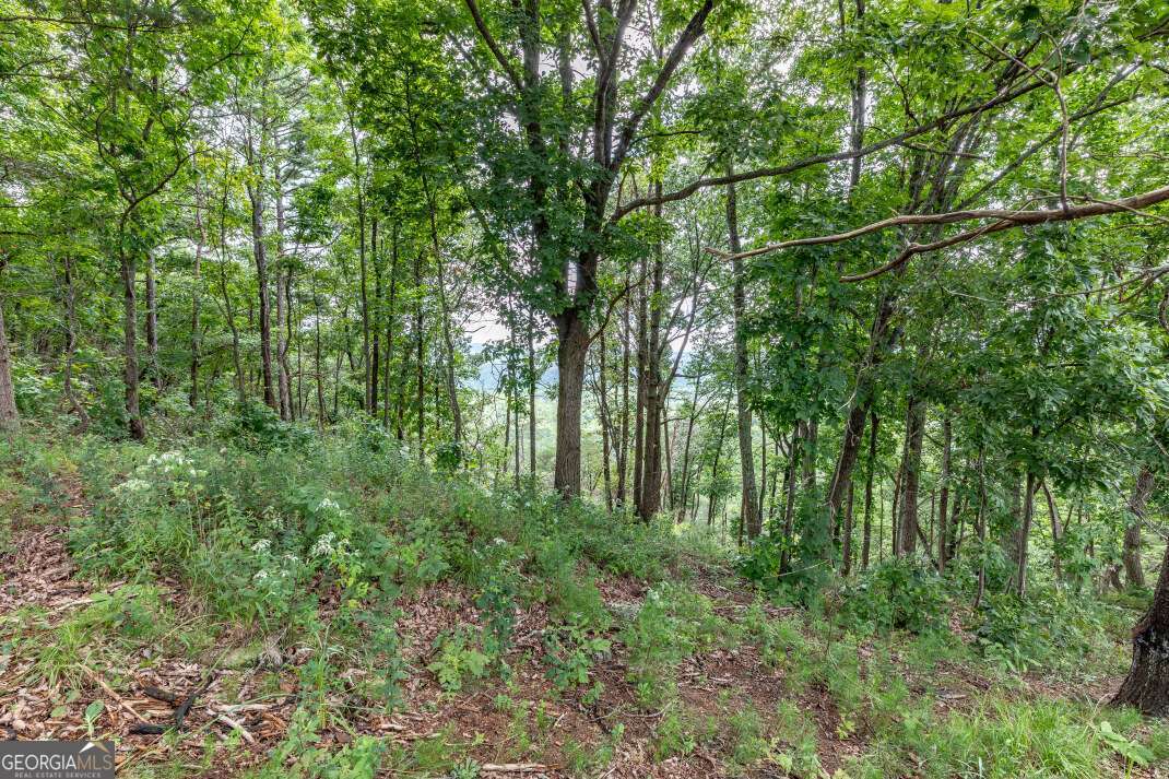 Lot T-5 Talona Mountain Road Ellijay GA 30540