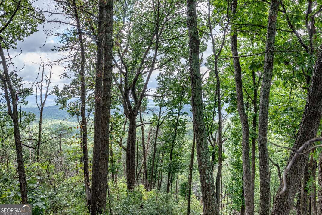 Lot T-5 Talona Mountain Road Ellijay GA 30540