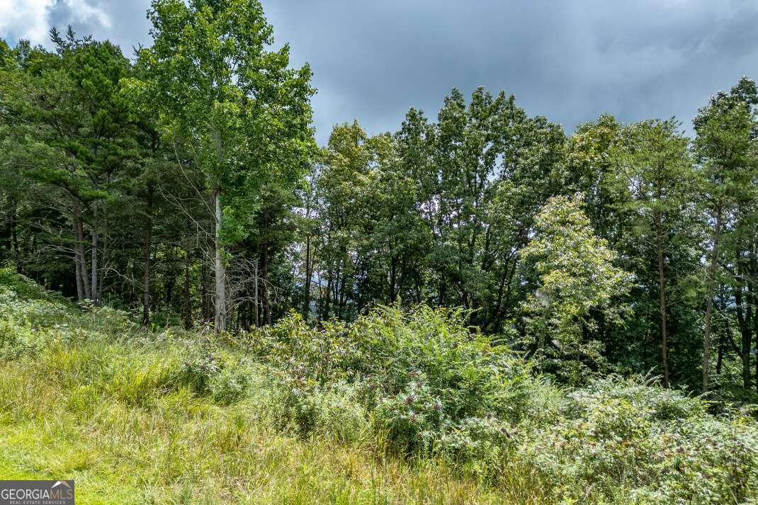 Lot T-5 Talona Mountain Road Ellijay GA 30540