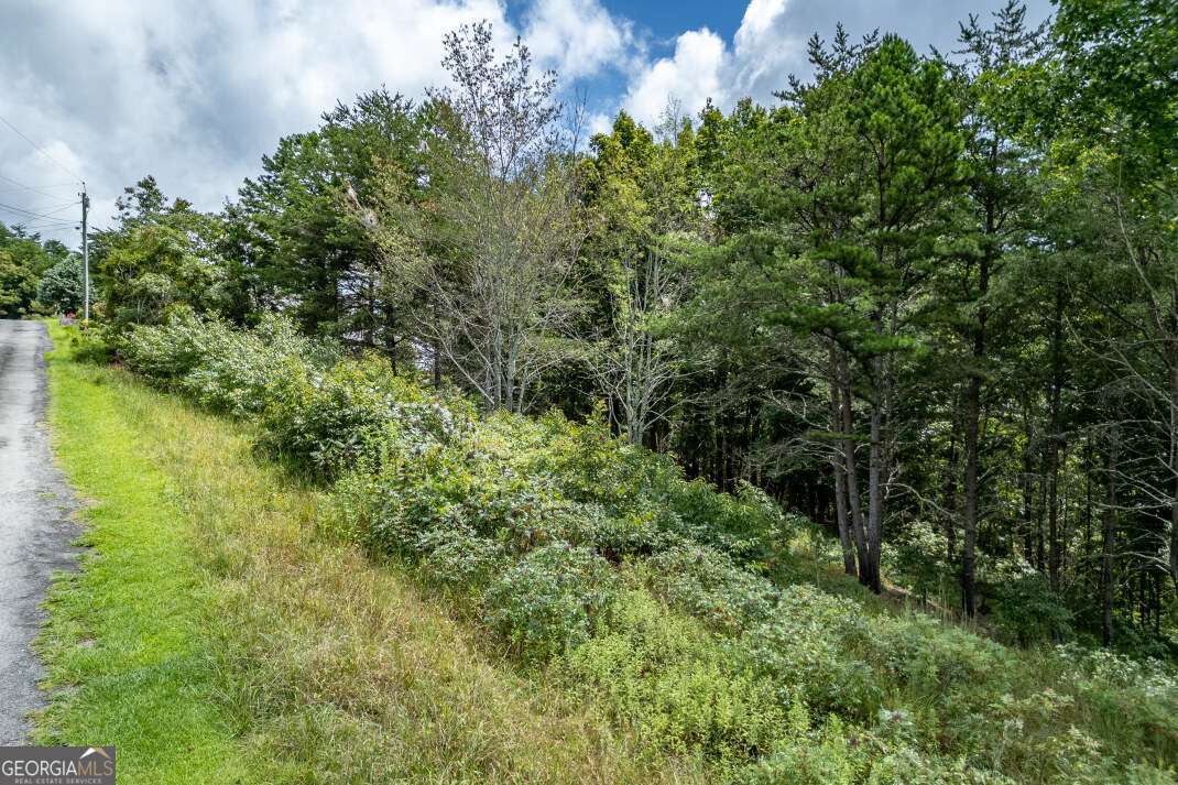 Lot T-5 Talona Mountain Road Ellijay GA 30540