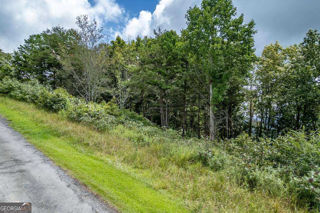 Lot T-5 Talona Mountain Road Ellijay GA 30540
