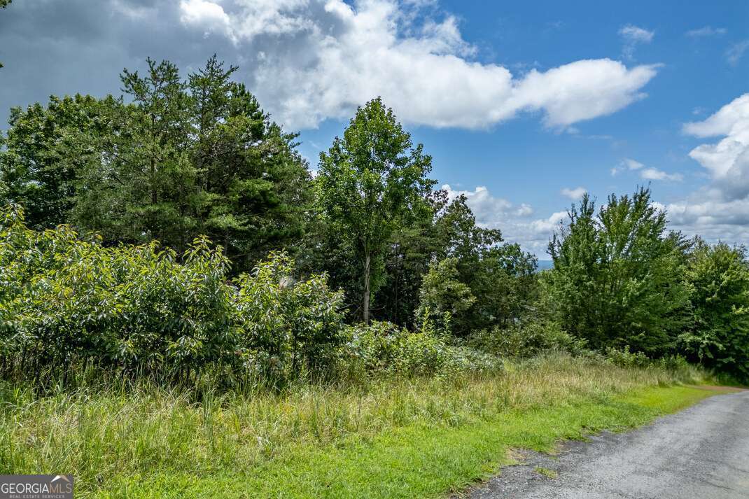 Lot T-5 Talona Mountain Road Ellijay GA 30540