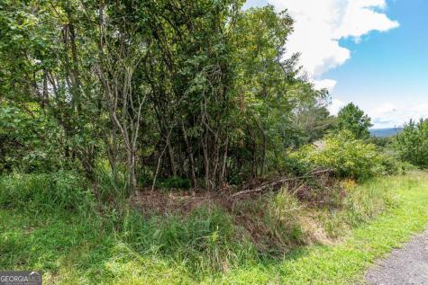 Lot T-5 Talona Mountain Road Ellijay GA 30540