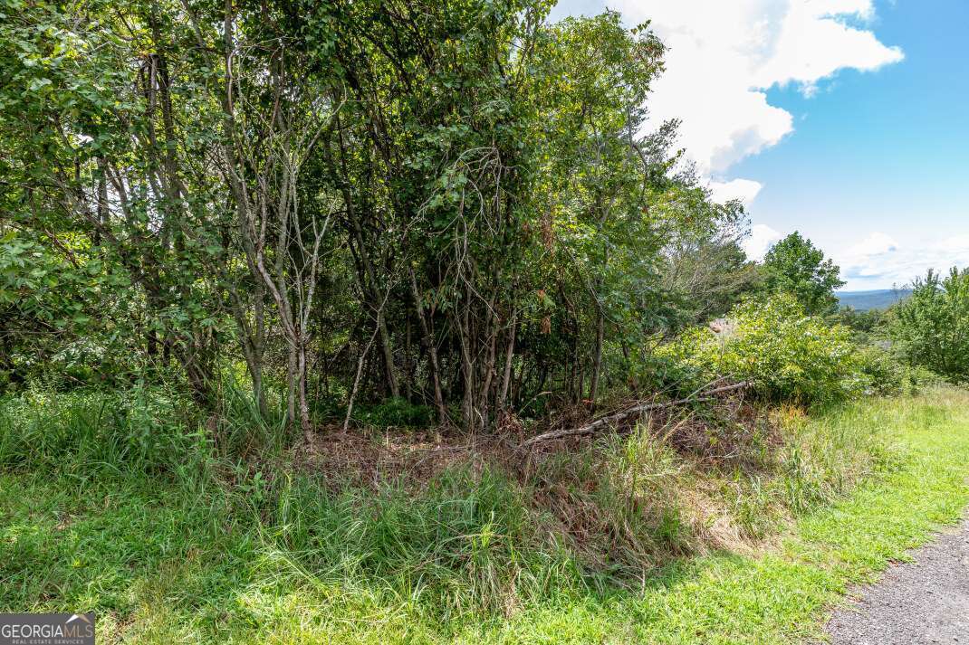 Lot T-5 Talona Mountain Road Ellijay GA 30540