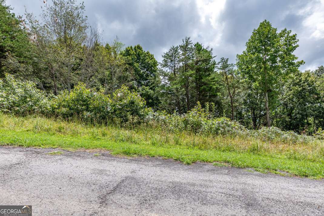 Lot T-5 Talona Mountain Road Ellijay GA 30540