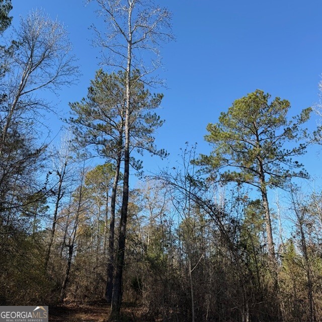 +/- 7.65 Acres Hut Road Box Springs GA 31801
