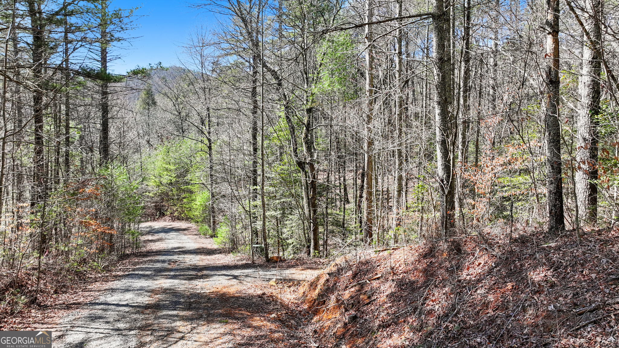 11.1 Ac. Stevens Ridge Road Ellijay GA 30540