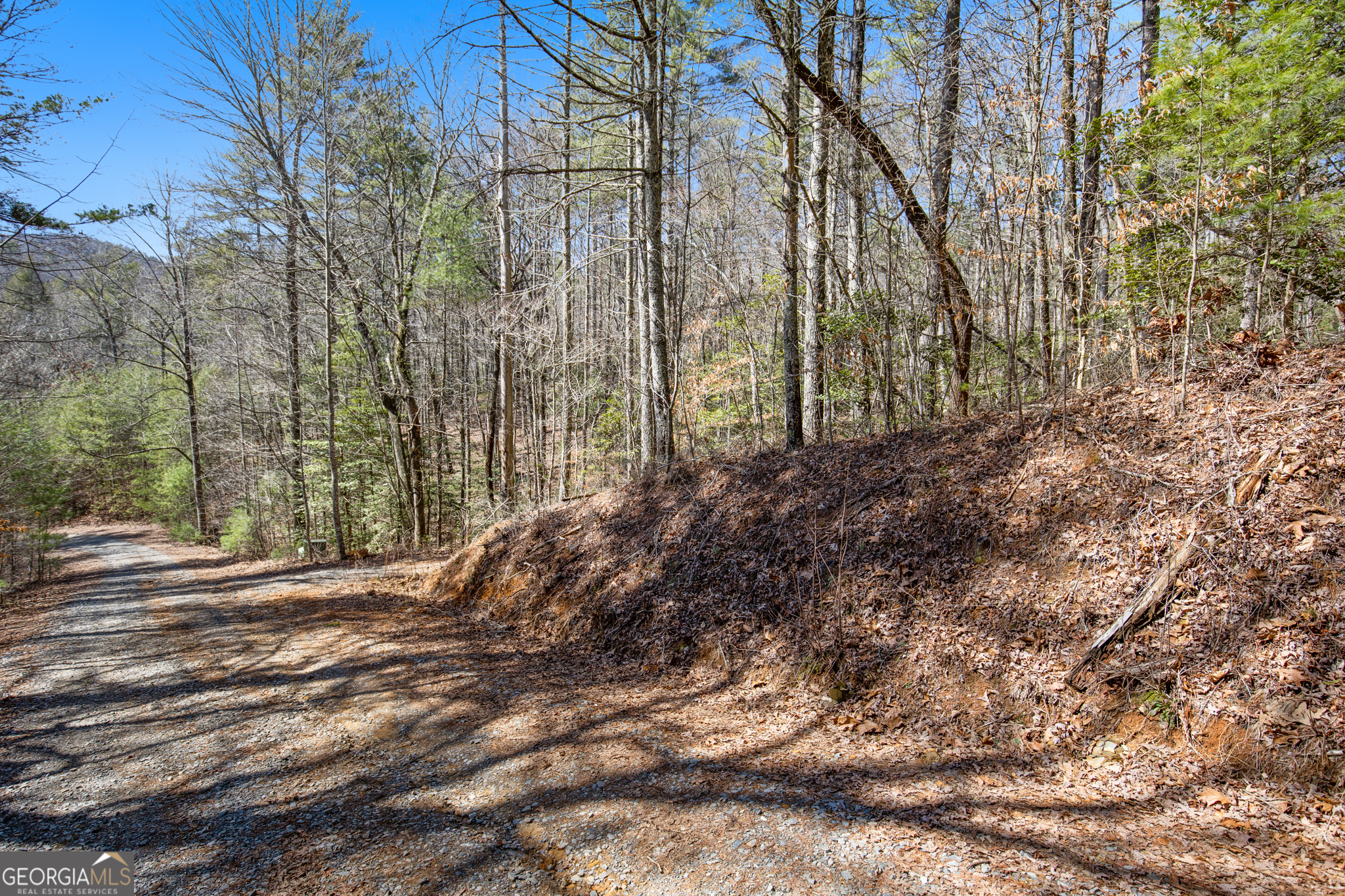 11.1 Ac. Stevens Ridge Road Ellijay GA 30540