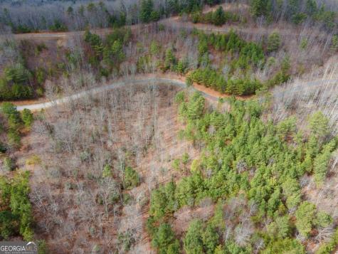 19/20 The Hills At Queens Gap Blairsville GA 30512